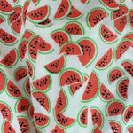 J.Crew Women’s  watermelon print skirt small Photo 2