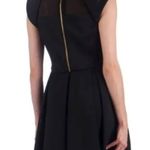 Ted Baker London Kipp Just For You Black Dress Photo 2