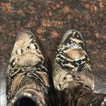 Seven7 Eve Boot Snakeskin Patterned Ankle Boots Photo 5