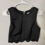 Tobi Elegant Black Scalloped Crop Top Small S/P Excellent Condition Photo 0