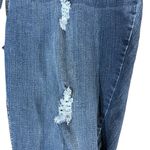 Lane Bryant Ankle Jeans Womens Plus Size 24 Blue Distressed High Rise Casual Photo 3