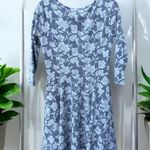 LC Lauren Conrad  Skater Style Dress Medium Photo 1