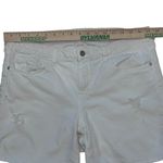 Pilcro and the Letterpress PILCRO‎ White Stretch Denim Distressed Shorts Mid-rise 30 (35) Photo 5