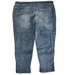 Democracy "Absolution Distressed Blue Girlfriend Jeans Plus Size 24W Comfortable Photo 6