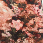 Haute Hippie Small Pink Floral Long Sleeve Blouse Photo 9