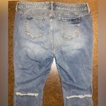 Torrid  Distressed Stretch Jeans with Floral Appliqué & Raw Hem Photo 7