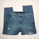 Gap  Mid Rise Destructed Slim Boyfriend Jeans 14/32 Photo 2
