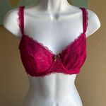 34D Violet lace sexy bra Size 34 D Photo 0