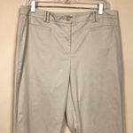 Ann Taylor Women’s Curvy Fit Academia Career Office Beige Khaki Ankle Pants Photo 1
