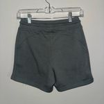 Alphalete Charcoal Performance Shorts Photo 1