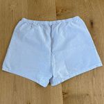Brandy Melville Shorts Striped Keira Size OS Blue White Photo 2