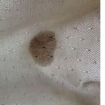 CIRCLE Y SIBYL’S COLLECTION Women's Genuine Leather Western Purse Handbag READ Photo 9