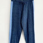 Anthropologie x Saturday Sunday Clara Colorblocked Lounge Jogger size XL Photo 1