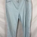 Lands' End  Blue And White Mid Rise Slim Leg Pant size 14P Photo 0