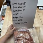 INDIKAH Lace Cutout Ruffled Mini Dress Peach Terracotta Size Small Photo 9