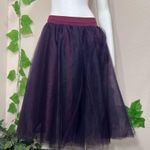 Windsor Purple Tulle Ballerina Poofy Skirt Photo 2