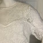 Southern Fried Chicks Southern friend chics Photo 12