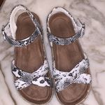 Pierre Dumas Snakeskin Sandals Photo 1