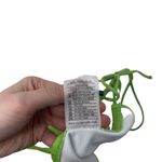 Motel  Leyna Bikini Bottom Watercolor Green NWT Womens XS Photo 5