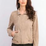 Market & Spruce  Faux Suede Zip Moto Jacket Photo 1