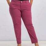 Style & Co . Pink Midrise Boyfriend Pants NWT 12 Photo 1