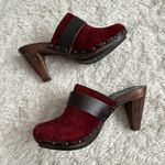 Coach Sz 6 Burgundy Red Suede Felicia Wood Heeled Clog Gold Horsebit Buckle Photo 1