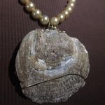Women's Vintage Oyster Shell ? Faux Pearl Costume Necklace Photo 7