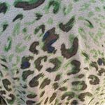 VICTOR ALFARO Green Cardigan Sweater Cotton Silk Wool Cashmere L Animal Print Tan Size L Photo 4