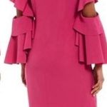 Badgley Mischka  Belle Pink Ruffle Bell Sleeves V-Neck Cocktail Dress Size 2 Photo 1