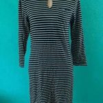 LRL Lauren Ralph Lauren Navy Stripe Cotton Collared Long Sleeve Midi Dress S Blue Photo 0