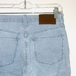 J.Crew Mercantile Blue & White Striped High Rise Ankle Skinny Jeans Photo 7