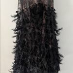 Maxi Feathered Prom Dress (size 16) Black Photo 2