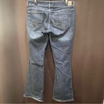 Aeropostale  Jeans, Hailey Flare, Curvy, Size 9/10 Reg Photo 1