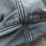 Terra & Sky  Stretch Skinny Jeans Elastic Back Panel Blue 1X 16W-18W Photo 3