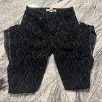 Life in Progress Patterned Pants Photo 0