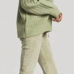 retrofete James Suede Zip Front Pant Sage Womens Size Medium Green Photo 1