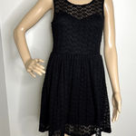 Papaya  Black Lace Skater Dress Photo 0