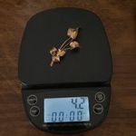 Jordan 10K by Gold Floral Brooch with Blue Gemstone Photo 9