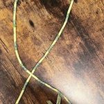 Vera Bradley RETIRED: | Ladies Citrus crossbody wallet with strap handbag. Photo 1