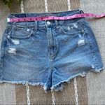 American Eagle AE Mom Short Frayed and Ripped Light Wash Photo 5