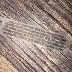 PINK - Victoria's Secret PINK by VICTORIA SECRET NWOT
SHIMMER ONE-SHOULDER ONE-PIECE SWIMSUIT XL Photo 12