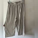 ZARA  Blue White And Silver Striped Wide Leg Ankle Pants Pull On Elastic Waist Photo 3