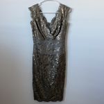 Tadashi Shoji  Lace Sequin Dress Size: 4 Photo 1