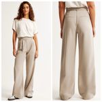Abercrombie & Fitch Taupe Sloane Tailored Wide Leg Trouser High-Rise Pants 34/18 Photo 1