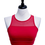 Zyia Active Red Sheer Mesh Paneling Back Zip Up One More Rep Sports Bra Medium Photo 0