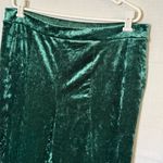 LuLaRoe Luxe by Green Velvet Pants XL Photo 1