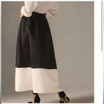 Anthropologie NWT  A-LINE MAXI SKIRT Photo 1