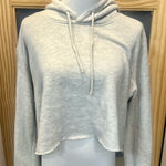 Brandy Melville Gray Cropped Hoodie Photo 0