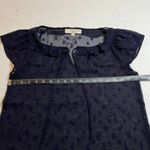 Loft Cap Sleeve Polka Dot Semi Sheer Blouse Size Small Preppy Office Nautical Photo 5
