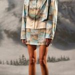 đź’•MAISIE WILENđź’• Dial Up Skirt ~ Alpine Mountain Scene Medium M NWT Blue Photo 3